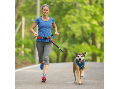 Kurgo løbeline 120cm