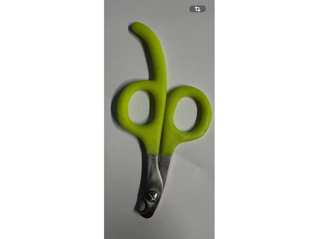 Negle- og Klosaks 11 cm Grøn – Saks til Katte, Fugle, Kaniner, Marsvin og Små Hunde