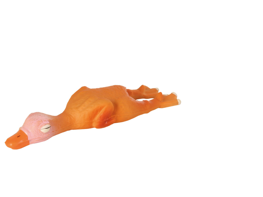 Mini and 14,5 cm latex