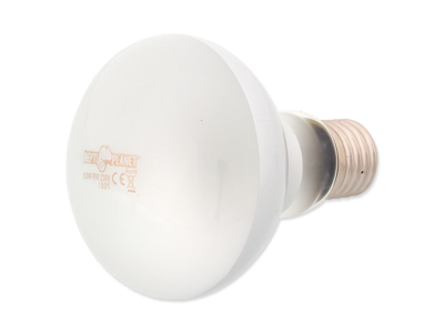 Pære Daylight Frosted 100W