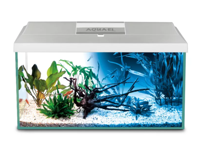 Leddy 60 Day & Night 54 Ltr. hvid