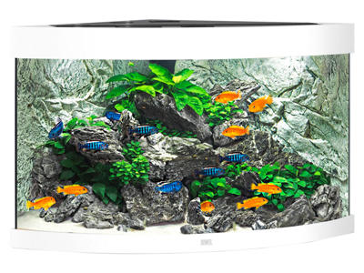 JUWEL MODEL TRIGON HVID 190 LED AKVARIE 190 L