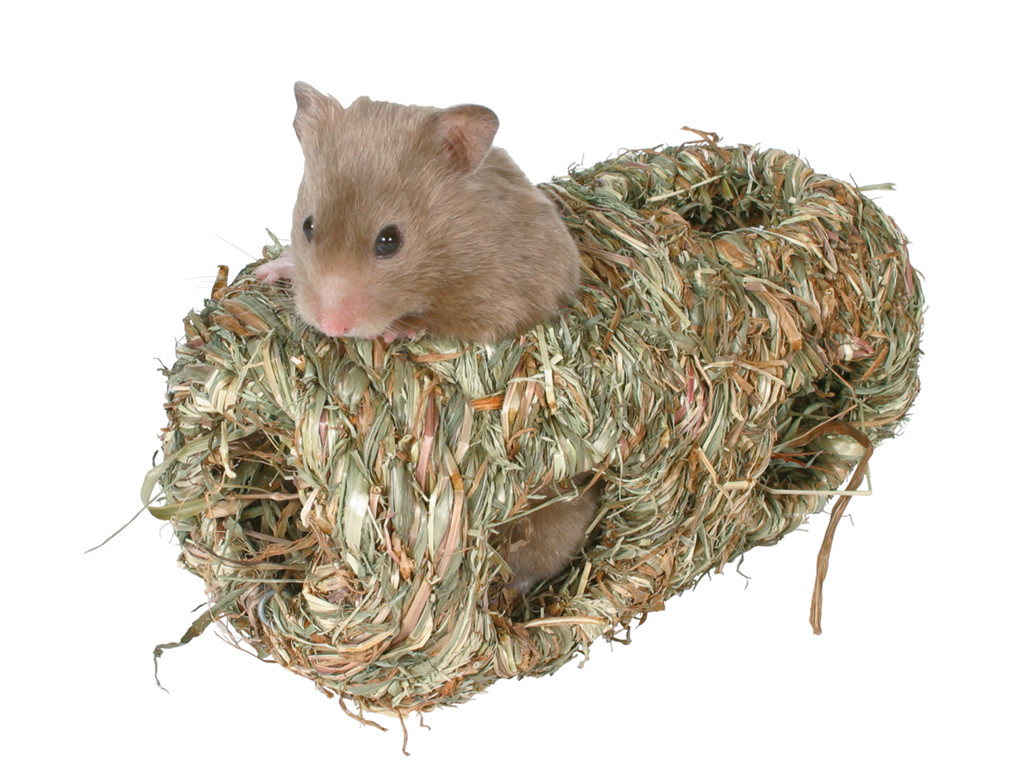 Dobbelt græshule til hamster