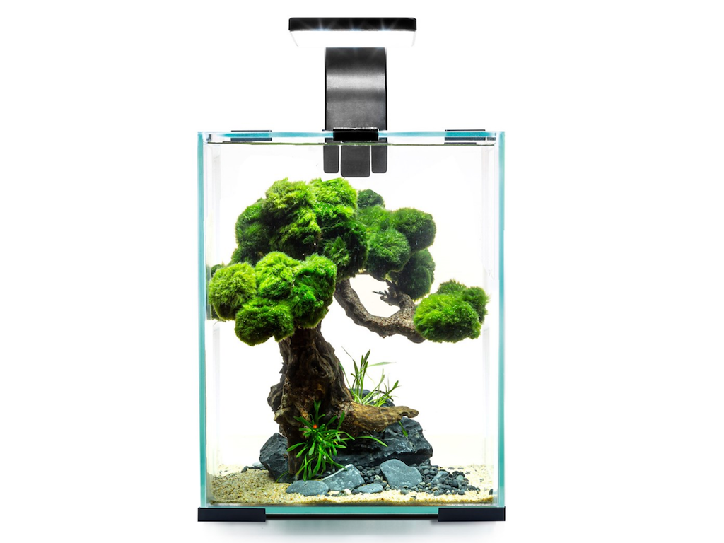 Rejeakvarie 10liter D/N - sort