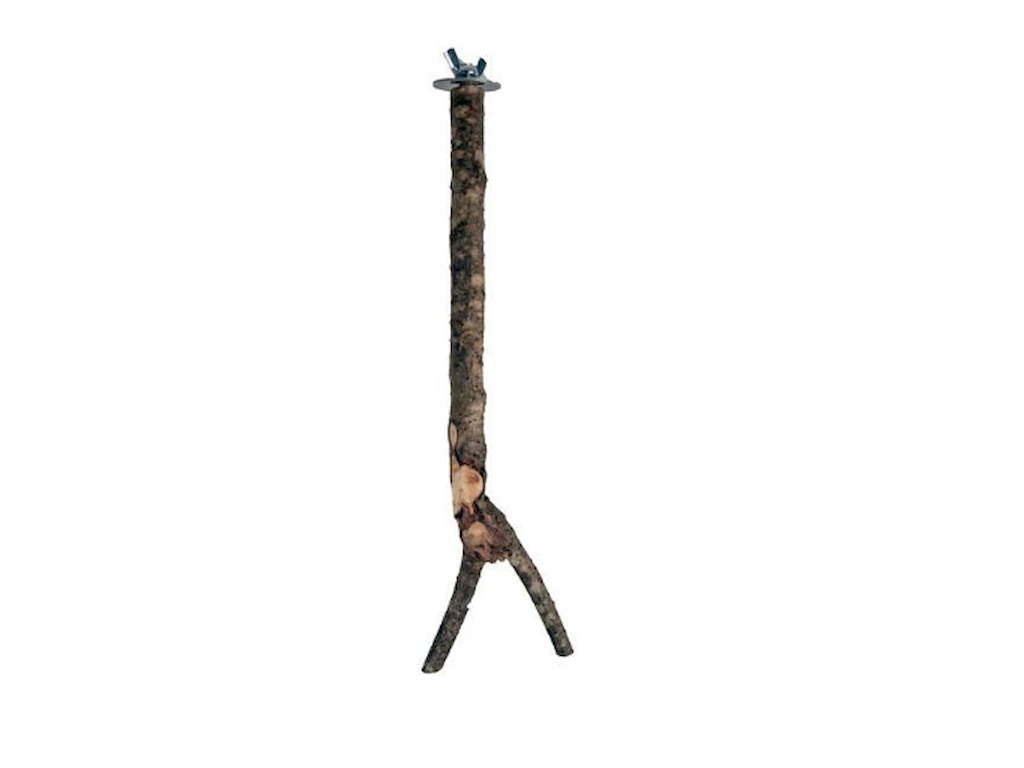 Y-Pind 30 cm – Naturlig Siddepind til Fugle