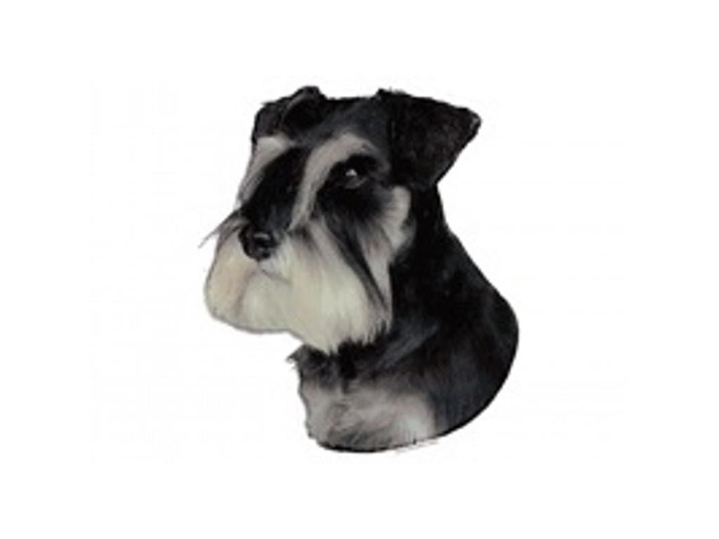 SCHNAUZER DVÆRG P/S STOR DEKAL