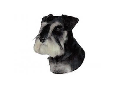 SCHNAUZER DVÆRG P/S STOR DEKAL