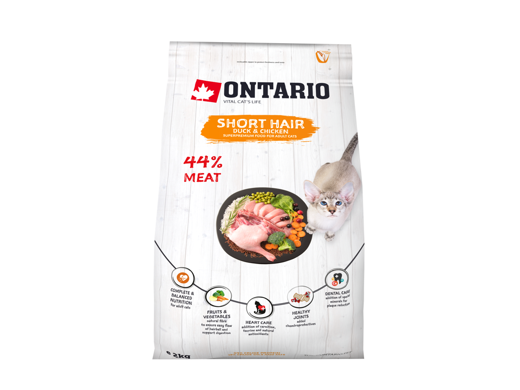 Ontario cat shorthair 2kg