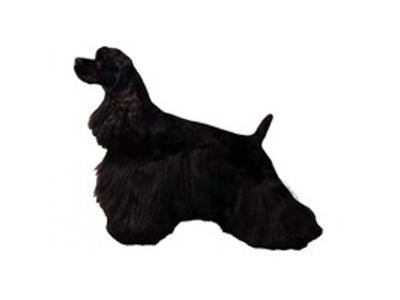 AMERIKANSK COCKER SPANIEL HEL MINI DEKAL PS/4