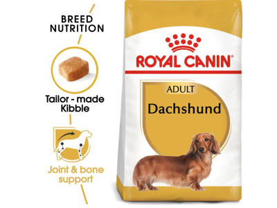 BHN DACHSHUND 7,5 KG