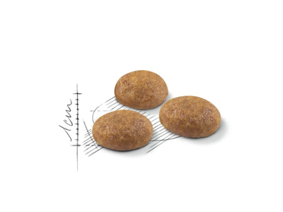 Royal Canin Outdoor 4 kg – Tørfoder til aktive udekatte