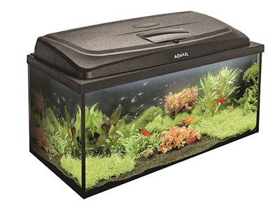 Aquael Classic 80 Rektangulært Akvarium – Famely 4 Serie