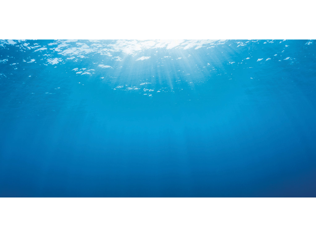 Baggruns JUWEL POSTER 2 100x50CM dobbelsidet