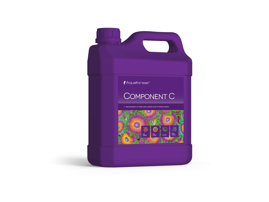 Component C 2000 ml