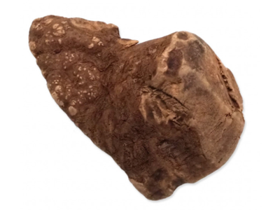 Epic Pet legetøj af rod Tyggelegetøj XL (500g - 750g)