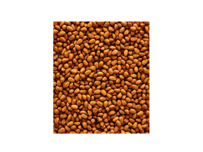 Nutribird G14 original 1kg