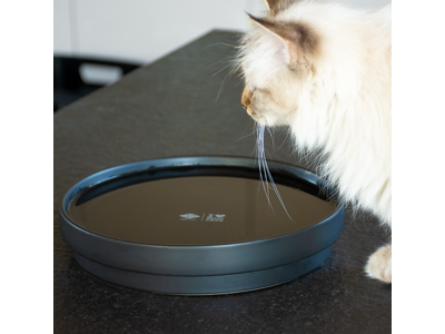 D&D CAT Keramisk Drikkeskål (XL) ACE Ø25 cm. Sort