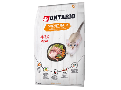 Ontario cat shorthair 6,5kg