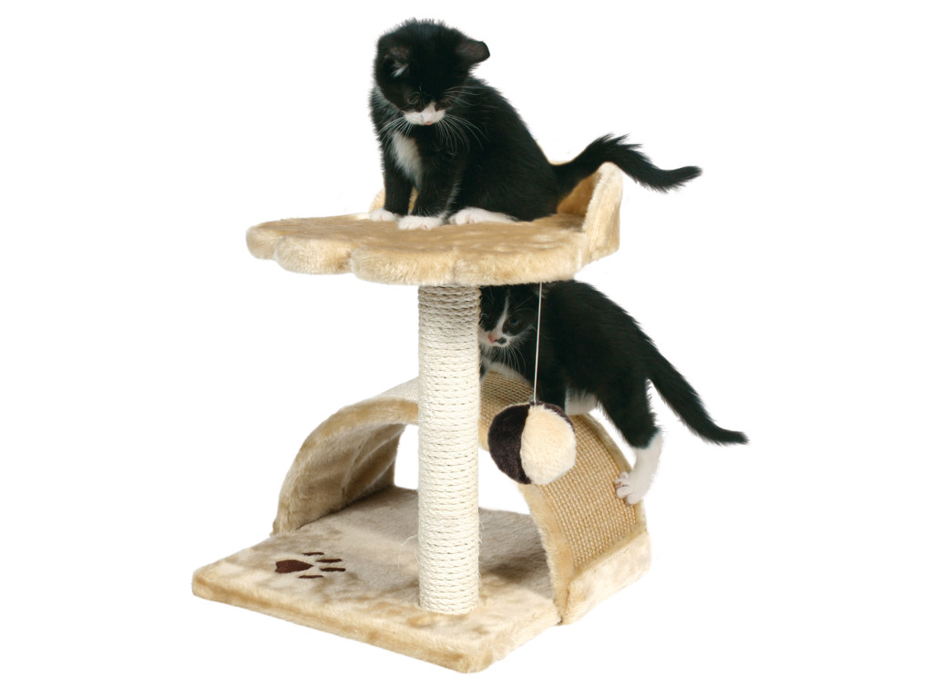 Kradsetræ Vitoria 50cm killin