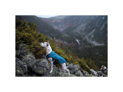 Kurgo loft frakke - blå/orange - M