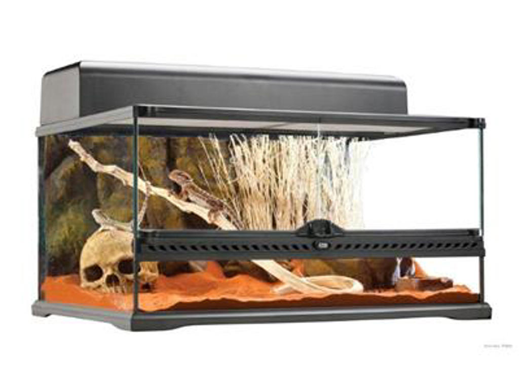 ExoTerra terrarium 60 x 45 x 30 cm.