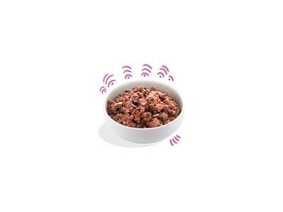 EC vådfoder vildt&and adult 400gr