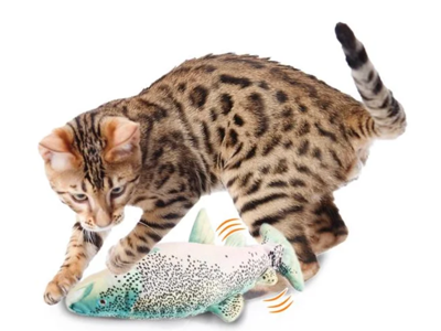 SITRENDE ROBOT SARDIN NATURAL INSTINCT