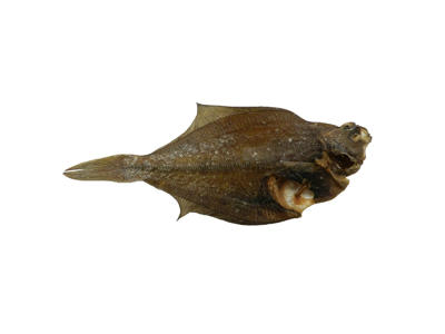 Fladfisk bulk á ca. 4 kg. (ca. 140 stk.)