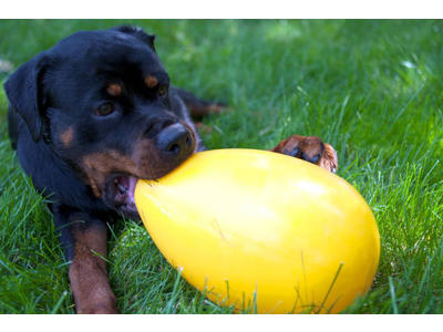 Jolly Egg 20 cm Lilla