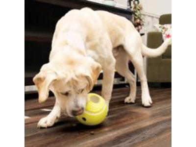 KONG REWARDS TENNIS LARGE
