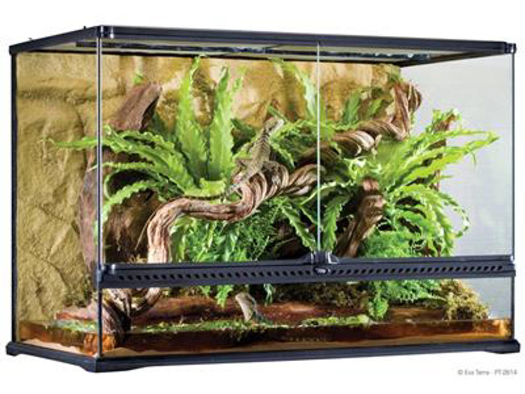 ExoTerra terrarium 90 x 45 x 60 cm.