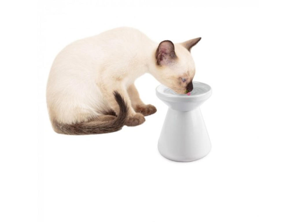 Hævet vandskål 150 ml