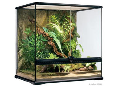 ExoTerra terrarium 60 x 45 x 60 cm.