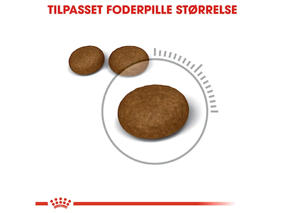Royal Canin Hair & Skin Care 4 kg – Tørfoder til voksne katte med fokus på hud og pels