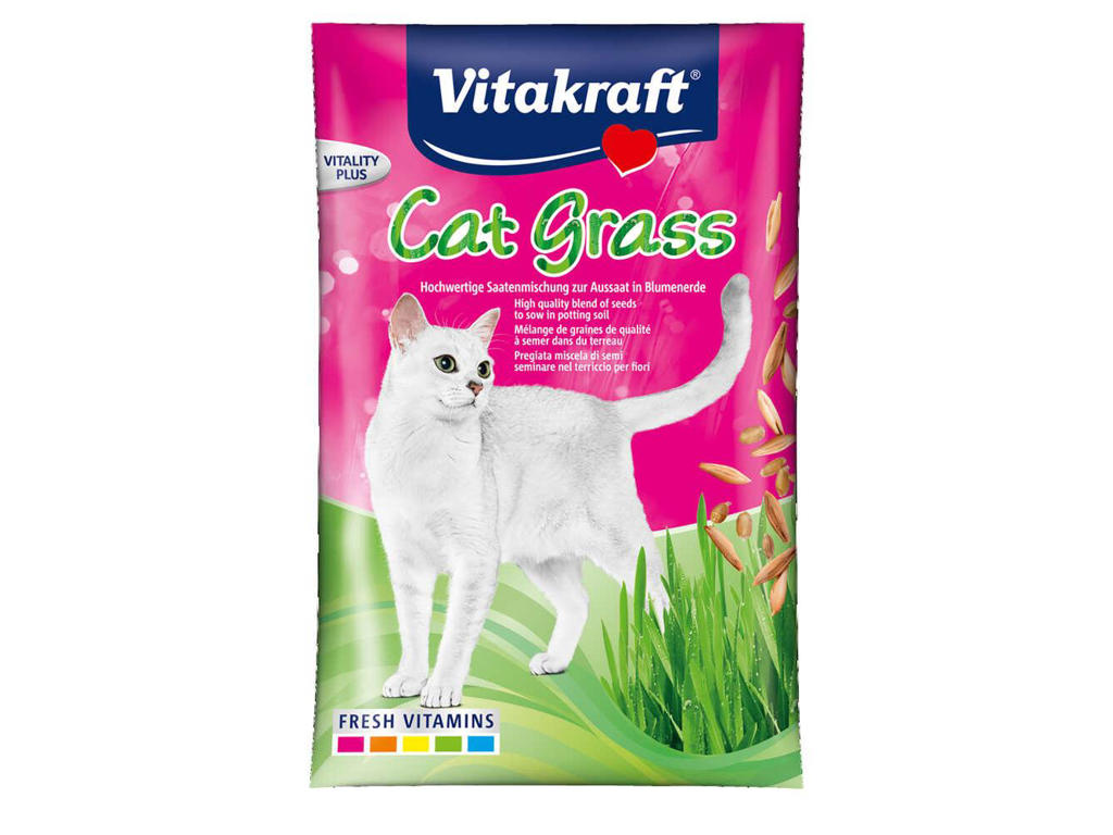 Cat-Gras i Brev