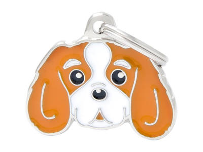 MY FAMILY BLENHEIM CAVALIER KING 3 X 2 CM