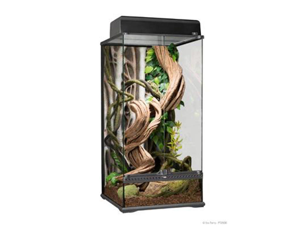 ExoTerra terrarium 45 x 45 x 90 cm. rainforest