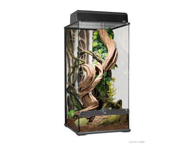 ExoTerra terrarium 45 x 45 x 90 cm. rainforest