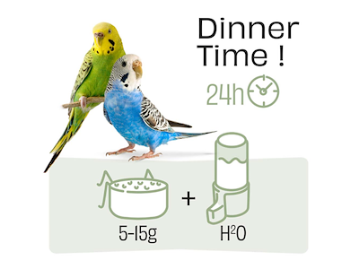 Witte Molen PUUR Budgie Undulatfoder 2,25 kg – Premium Frøblanding med Hørfrø, Æble og Vitaminer