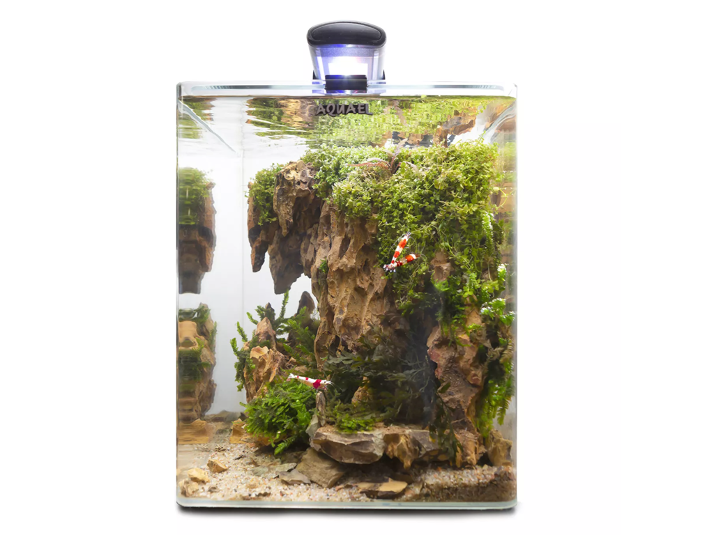 Aquael OptiBent Set 20 Sort – Buet akvariesæt 20L m. optiglas, LED, filter og varmelegeme