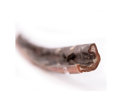 Snack'it Kamelhud 70cm indpakket