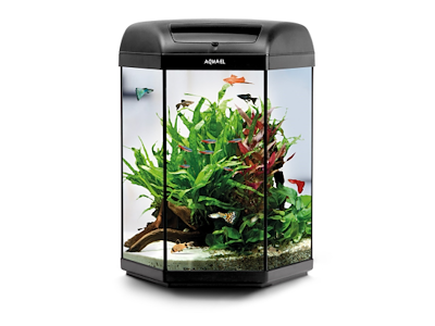 Aquael Hexa 60 D/N Akvariesæt – Kompakt Akvarium Med LED