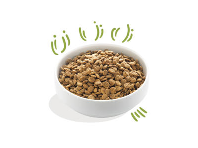 EC fresh grass-fed adult lam 7kg