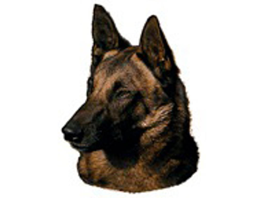 KW MALENOIS 19 CM / 2 STK