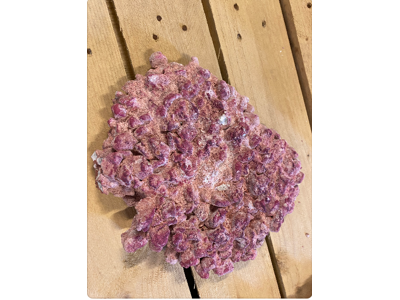 AF Synthetic Rock Pris/kg