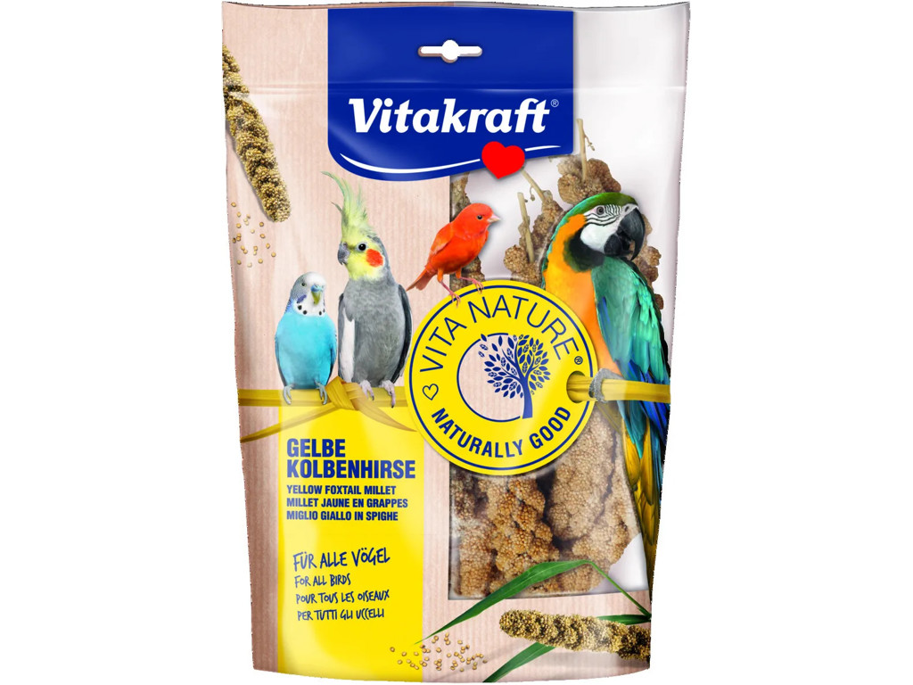 Vita Nature Hirse 300g