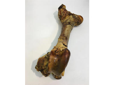 TreatTime gigant okseben XL  40-45 cm.