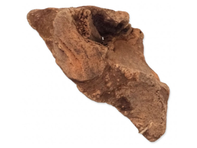 Epic Pet legetøj af rod Tyggelegetøj S (60g - 150g)