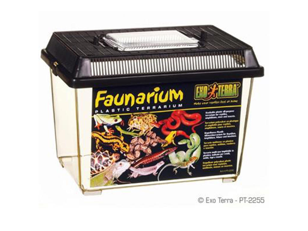 ExoTerra faunarium, 23 x 15,3 x 16,5 cm. S