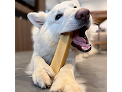 Yaki Peanutbutter GIGANT 230-260 g – Proteinrig Vegetarisk Tyggepind til Hunde